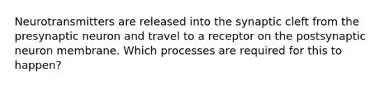 Neurotransmitters are released into the synaptic cleft from the presynaptic neuron and travel to a receptor on the postsynaptic neuron membrane. Which processes are required for this to happen?