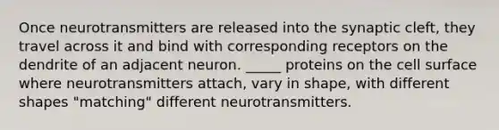 Once neurotransmitters are released into the synaptic cleft, they travel across it and bind with corresponding receptors on the dendrite of an adjacent neuron. _____ proteins on the cell surface where neurotransmitters attach, vary in shape, with different shapes "matching" different neurotransmitters.