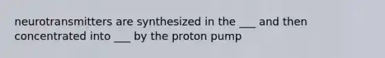 neurotransmitters are synthesized in the ___ and then concentrated into ___ by the proton pump