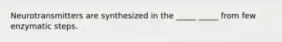 Neurotransmitters are synthesized in the _____ _____ from few enzymatic steps.