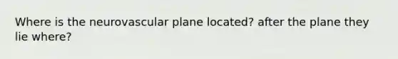 Where is the neurovascular plane located? after the plane they lie where?