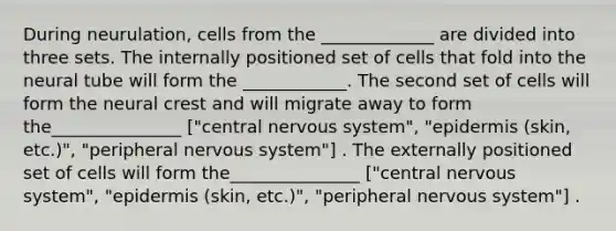 During neurulation, cells from the _____________ are divided into three sets. The internally positioned set of cells that fold into the neural tube will form the ____________. The second set of cells will form the neural crest and will migrate away to form the_______________ ["central nervous system", "epidermis (skin, etc.)", "peripheral nervous system"] . The externally positioned set of cells will form the_______________ ["central nervous system", "epidermis (skin, etc.)", "peripheral nervous system"] .