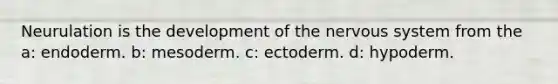 Neurulation is the development of the nervous system from the a: endoderm. b: mesoderm. c: ectoderm. d: hypoderm.