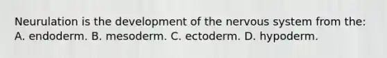 Neurulation is the development of the <a href='https://www.questionai.com/knowledge/kThdVqrsqy-nervous-system' class='anchor-knowledge'>nervous system</a> from the: A. endoderm. B. mesoderm. C. ectoderm. D. hypoderm.