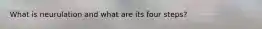 What is neurulation and what are its four steps?