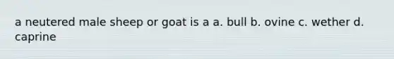 a neutered male sheep or goat is a a. bull b. ovine c. wether d. caprine