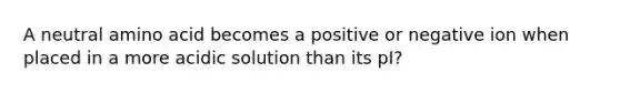 A neutral amino acid becomes a positive or negative ion when placed in a more acidic solution than its pI?