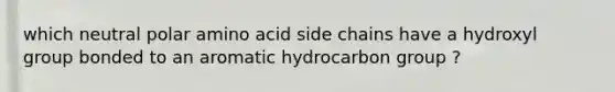 which neutral polar amino acid side chains have a hydroxyl group bonded to an aromatic hydrocarbon group ?