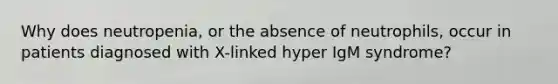 Why does neutropenia, or the absence of neutrophils, occur in patients diagnosed with X-linked hyper IgM syndrome?