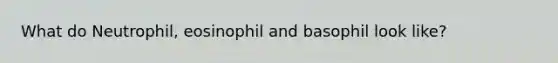 What do Neutrophil, eosinophil and basophil look like?
