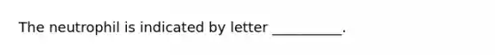 The neutrophil is indicated by letter __________.