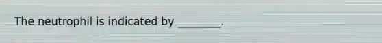 The neutrophil is indicated by ________.