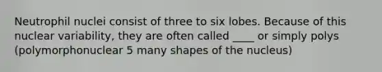 Neutrophil nuclei consist of three to six lobes. Because of this nuclear variability, they are often called ____ or simply polys (polymorphonuclear 5 many shapes of the nucleus)