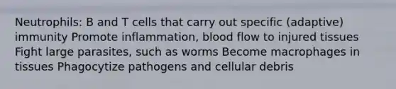 Neutrophils: B and T cells that carry out specific (adaptive) immunity Promote inflammation, blood flow to injured tissues Fight large parasites, such as worms Become macrophages in tissues Phagocytize pathogens and cellular debris