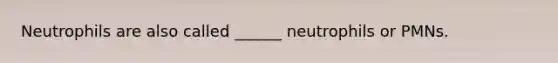 Neutrophils are also called ______ neutrophils or PMNs.