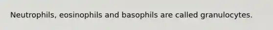 Neutrophils, eosinophils and basophils are called granulocytes.