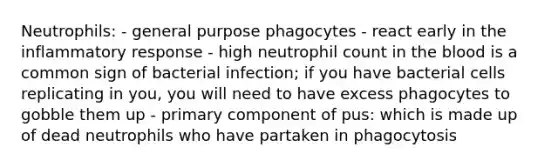 Neutrophils: - general purpose phagocytes - react early in the inflammatory response - high neutrophil count in the blood is a common sign of bacterial infection; if you have bacterial cells replicating in you, you will need to have excess phagocytes to gobble them up - primary component of pus: which is made up of dead neutrophils who have partaken in phagocytosis