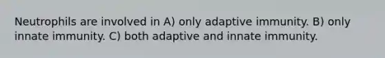 Neutrophils are involved in A) only adaptive immunity. B) only innate immunity. C) both adaptive and innate immunity.