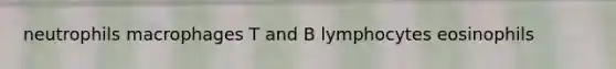 neutrophils macrophages T and B lymphocytes eosinophils