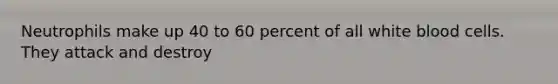Neutrophils make up 40 to 60 percent of all white blood cells. They attack and destroy