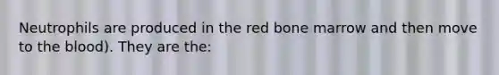 Neutrophils are produced in the red bone marrow and then move to the blood). They are the: