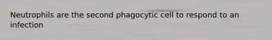 Neutrophils are the second phagocytic cell to respond to an infection