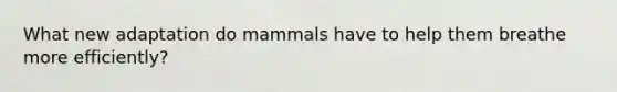 What new adaptation do mammals have to help them breathe more efficiently?