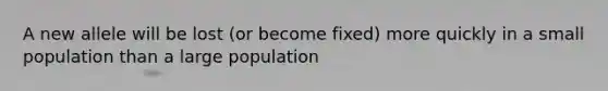 A new allele will be lost (or become fixed) more quickly in a small population than a large population