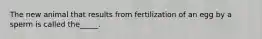 The new animal that results from fertilization of an egg by a sperm is called the_____.