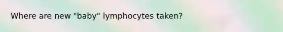 Where are new "baby" lymphocytes taken?