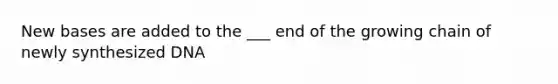 New bases are added to the ___ end of the growing chain of newly synthesized DNA