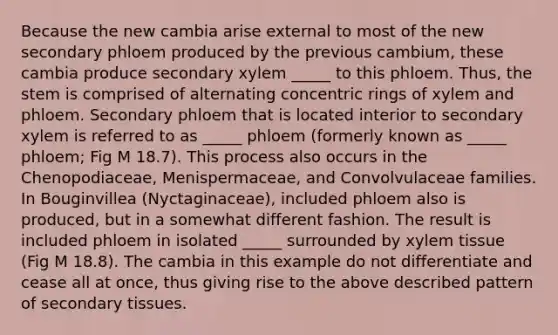 Because the new cambia arise external to most of the new secondary phloem produced by the previous cambium, these cambia produce secondary xylem _____ to this phloem. Thus, the stem is comprised of alternating concentric rings of xylem and phloem. Secondary phloem that is located interior to secondary xylem is referred to as _____ phloem (formerly known as _____ phloem; Fig M 18.7). This process also occurs in the Chenopodiaceae, Menispermaceae, and Convolvulaceae families. In Bouginvillea (Nyctaginaceae), included phloem also is produced, but in a somewhat different fashion. The result is included phloem in isolated _____ surrounded by xylem tissue (Fig M 18.8). The cambia in this example do not differentiate and cease all at once, thus giving rise to the above described pattern of secondary tissues.