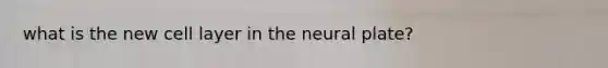 what is the new cell layer in the neural plate?