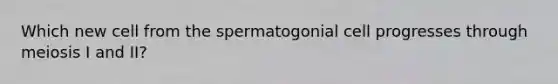 Which new cell from the spermatogonial cell progresses through meiosis I and II?