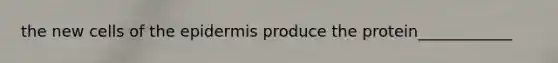 the new cells of the epidermis produce the protein____________