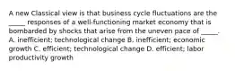 A new Classical view is that business cycle fluctuations are the​ _____ responses of a​ well-functioning market economy that is bombarded by shocks that arise from the uneven pace of​ _____. A. ​inefficient; technological change B. ​inefficient; economic growth C. ​efficient; technological change D. efficient; labor productivity growth