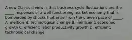 A new Classical view is that business cycle fluctuations are the _____ responses of a well-functioning market economy that is bombarded by shocks that arise from the uneven pace of _____. A. inefficient; technological change B. inefficient; economic growth C. efficient; labor productivity growth D. efficient; technological change