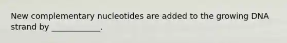 New complementary nucleotides are added to the growing DNA strand by ____________.