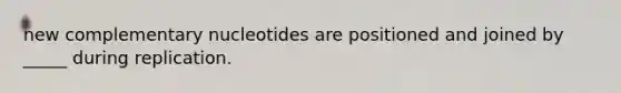 new complementary nucleotides are positioned and joined by _____ during replication.