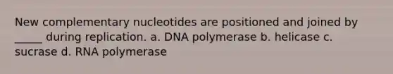 New complementary nucleotides are positioned and joined by _____ during replication. a. DNA polymerase b. helicase c. sucrase d. RNA polymerase