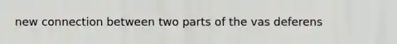 new connection between two parts of the vas deferens