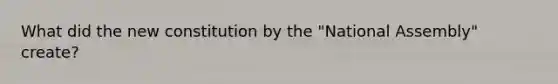 What did the new constitution by the "National Assembly" create?