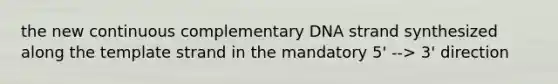 the new continuous complementary DNA strand synthesized along the template strand in the mandatory 5' --> 3' direction