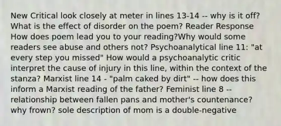 New Critical look closely at meter in lines 13-14 -- why is it off? What is the effect of disorder on the poem? Reader Response How does poem lead you to your reading?Why would some readers see abuse and others not? Psychoanalytical line 11: "at every step you missed" How would a psychoanalytic critic interpret the cause of injury in this line, within the context of the stanza? Marxist line 14 - "palm caked by dirt" -- how does this inform a Marxist reading of the father? Feminist line 8 -- relationship between fallen pans and mother's countenance? why frown? sole description of mom is a double-negative