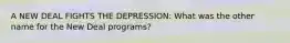 A NEW DEAL FIGHTS THE DEPRESSION: What was the other name for the New Deal programs?