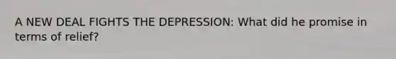 A NEW DEAL FIGHTS THE DEPRESSION: What did he promise in terms of relief?