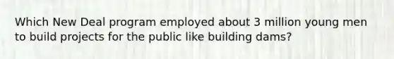 Which New Deal program employed about 3 million young men to build projects for the public like building dams?