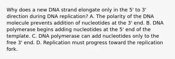 Why does a new DNA strand elongate only in the 5' to 3' direction during DNA replication? A. The polarity of the DNA molecule prevents addition of nucleotides at the 3' end. B. DNA polymerase begins adding nucleotides at the 5' end of the template. C. DNA polymerase can add nucleotides only to the free 3' end. D. Replication must progress toward the replication fork.