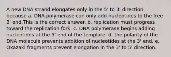 A new DNA strand elongates only in the 5' to 3' direction because a. DNA polymerase can only add nucleotides to the free 3' end.This is the correct answer. b. replication must progress toward the replication fork. c. DNA polymerase begins adding nucleotides at the 5' end of the template. d. the polarity of the DNA molecule prevents addition of nucleotides at the 3' end. e. Okazaki fragments prevent elongation in the 3' to 5' direction.