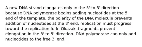 A new DNA strand elongates only in the 5' to 3' direction because DNA polymerase begins adding nucleotides at the 5' end of the template. the polarity of the DNA molecule prevents addition of nucleotides at the 3' end. replication must progress toward the replication fork. Okazaki fragments prevent elongation in the 3' to 5' direction. DNA polymerase can only add nucleotides to the free 3' end.